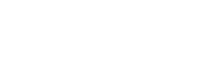 Build Executive